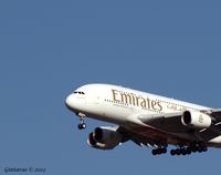 A6-EDM - Landing @ JFK - by gbmax