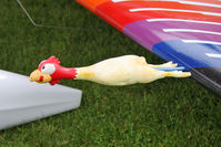 G-GULZ @ X5FB - Pilot humour! Pitot tube cover on lower port wing. Christen Eagle II. Fishburn Airfield, UK. September 2012. - by Malcolm Clarke
