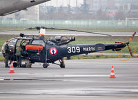 309 photo, click to enlarge