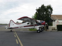 N233N @ SZP - 1956 DeHavilland (Canada) DHC-2 Mk 1 BEAVER, Baron MK2000 Special Edition, P&W R-985 Wasp Jr. 450 Hp, at fuel dock. An extraordinary Beaver in stunning appearance and condition revisits SZP. - by Doug Robertson