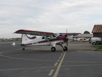 N233N @ SZP - 1956 DeHavilland (Canada) DHC-2 Mk 1 BEAVER, Baron MK2000 Special Edition, P&W R-985 Wasp Jr. 450 Hp radial, taxi back after landing Rwy 22 - by Doug Robertson