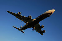 CS-TFX @ EGLL - Taken at EGLL. - by Phil Greiml