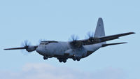 ZH888 photo, click to enlarge