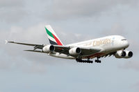 A6-EDZ photo, click to enlarge