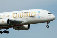 A6-EDZ photo, click to enlarge