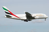 A6-EDZ photo, click to enlarge