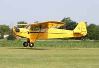 N42436 @ 7V3 - Piper J3C-65 - by Mark Pasqualino