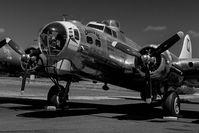 N3701G @ TMK - chuckie @ Tillamook Air Museum - by Terry Green