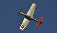 N61429 @ KOSH - Airventure 2013 - by Todd Royer