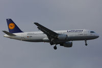 D-AIPY @ EGLL - Lufthansa - by Chris Hall