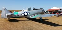 N7090C @ 00MN - 2013 Battle Lake Fly-in - by Kreg Anderson