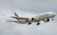 A6-EBG photo, click to enlarge