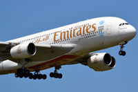 A6-EDE photo, click to enlarge