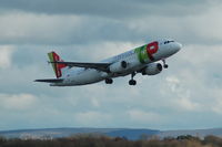CS-TNG photo, click to enlarge