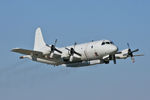 UNKNOWN @ DAL - Unmarked mystery P-3 departing Dallas Love Field - by Zane Adams