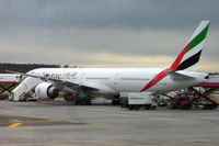 A6-ECH photo, click to enlarge