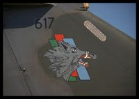 617 - 3/3 Ardennes insigna - by olivier Cortot