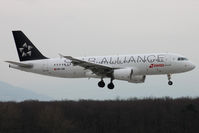 HB-IJM photo, click to enlarge