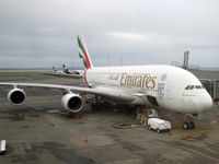 A6-EDY photo, click to enlarge