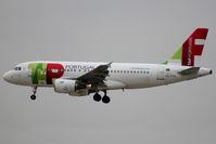 CS-TTG photo, click to enlarge