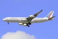 F-RAJA photo, click to enlarge