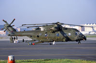 ZJ135 photo, click to enlarge