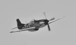 N151BP @ KCNO - Flying at the Planes of Fame Airshow - by Todd Royer