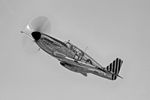 N251MX @ DAL - Collings Foundation P-51C at Dallas Love Field - by Zane Adams