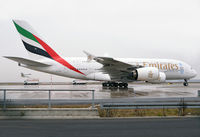 A6-EOB @ EDDF - A6-EOB - by Matthias Becker