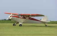 N2499M @ C55 - Piper PA-12 - by Mark Pasqualino