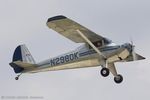 N2980K @ KOSH - Luscombe 8A Luscome Master CN 5707, N2980K - by Dariusz Jezewski  FotoDJ.com