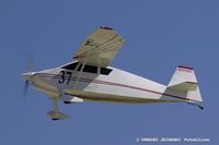 N374WT - Wittman W-10 Tailwind  C/N 168, NX374WT - by Dariusz Jezewski www.FotoDj.com