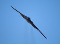 82-1067 @ OSH - B-2A Spirit - by Florida Metal