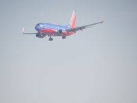 N260WN @ 3607 - Landing - by Canonman