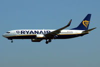 EI-FZO photo, click to enlarge
