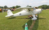 N25174 @ KOSH - Luscombe 8A - by Florida Metal
