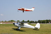 N71836 @ KOSH - Luscombe 8A Luscome Master  C/N 3263, N71836 - by Dariusz Jezewski www.FotoDj.com
