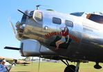 N3701G @ KOSH - Madras Maiden - by Florida Metal