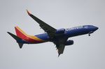 N8513F @ KMCO - WN 737-800 - by Florida Metal