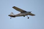 N9592A @ KLAL - Cessna 170A - by Florida Metal