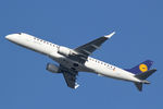 D-AECD @ EHAM - at spl - by Ronald