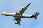 D-AIGU @ EGLL - D-AIGU   Airbus A340-313X [321] (Lufthansa) Home~G 25/12/2020 - by Ray Barber