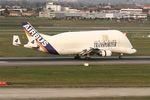 F-GSTD @ LFBO - Airbus A300B4-608ST Beluga, Landing Rwy 14R, Toulouse Blagnac Airport (LFBO-TLS) - by Yves-Q