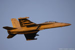 169206 @ KOSH - EA-18G Growler 169206 NJ-577 from VAQ-129 Vikings NAS Whidbey Island, WA - by Dariusz Jezewski www.FotoDj.com