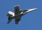 169206 @ KOSH - EA-18G - by Florida Metal
