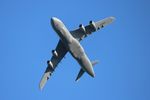 86-0026 @ KOSH - C-5M zx - by Florida Metal