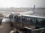 EI-SIO @ ENGM - A rather foggy morning in Oslo - by Micha Lueck
