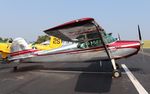 N9559A @ 10C - Cessna 170A - by Mark Pasqualino