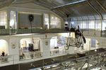 NONE - Etrich II Taube at the Technisches Museum Wien (Vienna Technical Museum) - by Ingo Warnecke