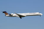 D-ACNF @ EBBR - at bru - by Ronald